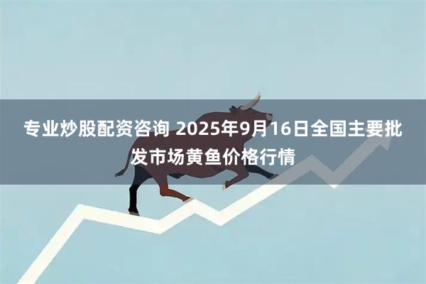 专业炒股配资咨询 2025年9月16日全国主要批发市场黄鱼价格行情