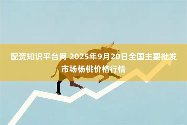 配资知识平台网 2025年9月20日全国主要批发市场杨桃价格行情