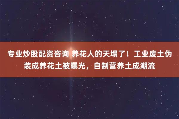专业炒股配资咨询 养花人的天塌了！工业废土伪装成养花土被曝光，自制营养土成潮流